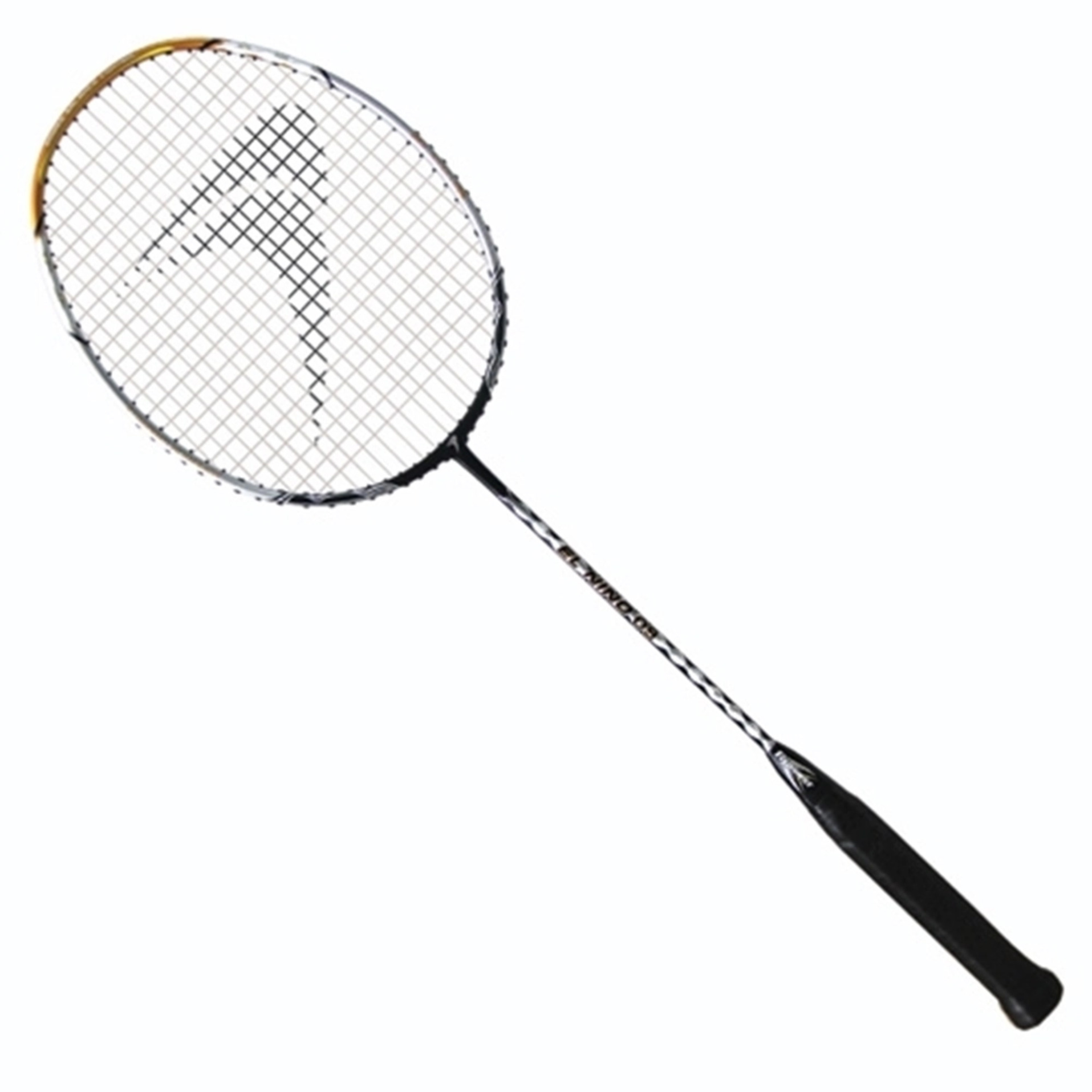 vot-cau-long-Flypower